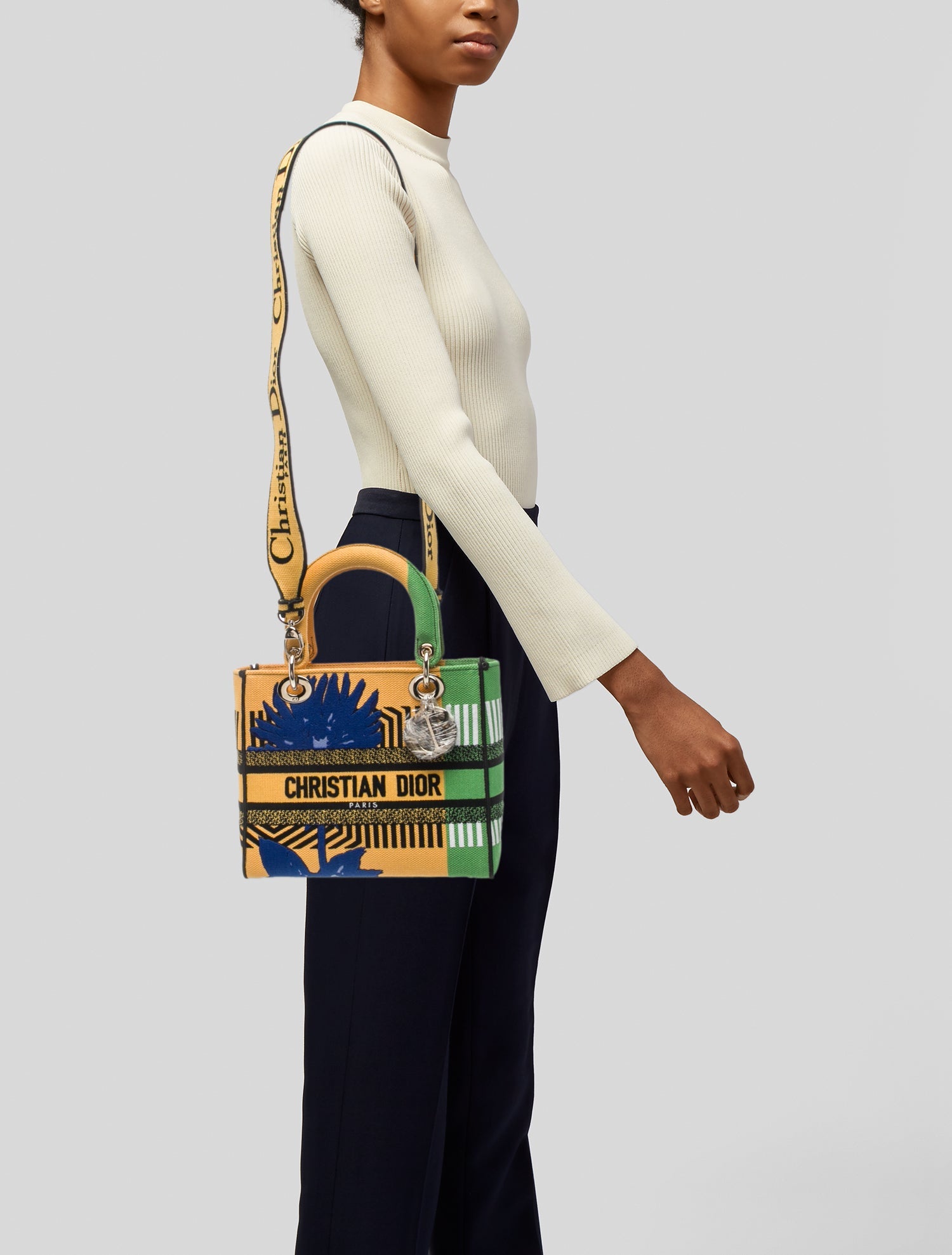 Christian Dior Canvas D-Lite