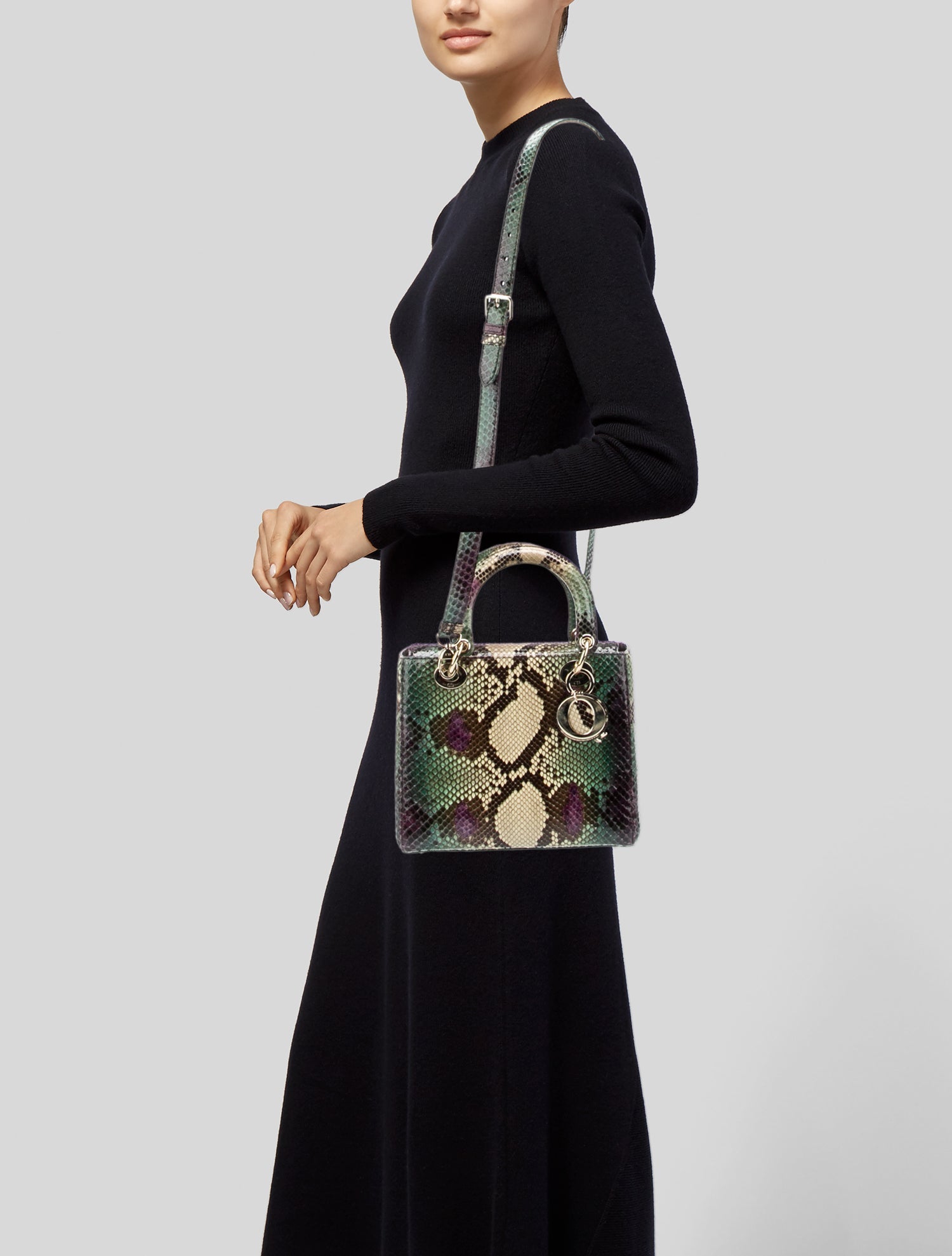 Christian Dior Snakeskin Lady Dior