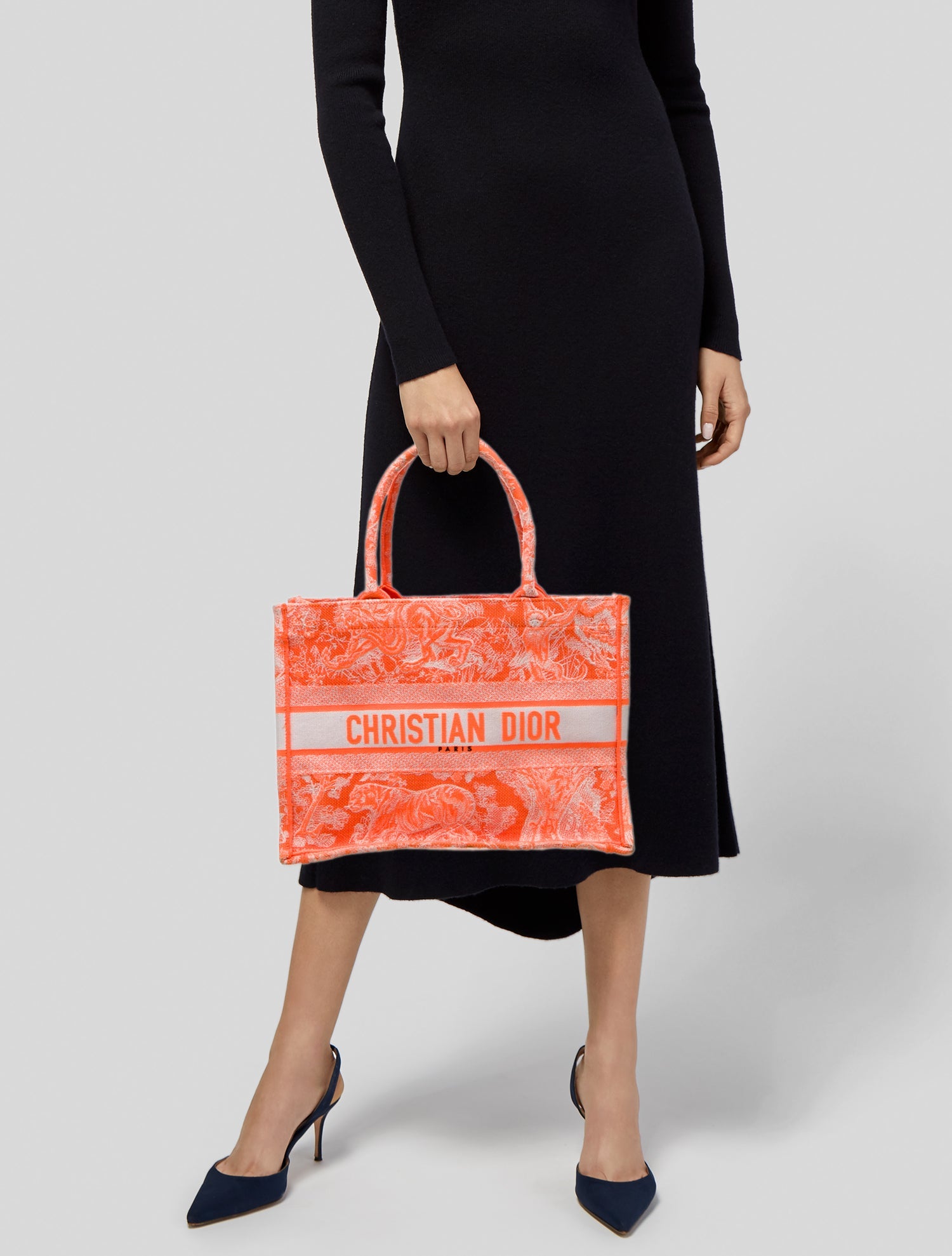 Christian Dior Canvas Book Medium