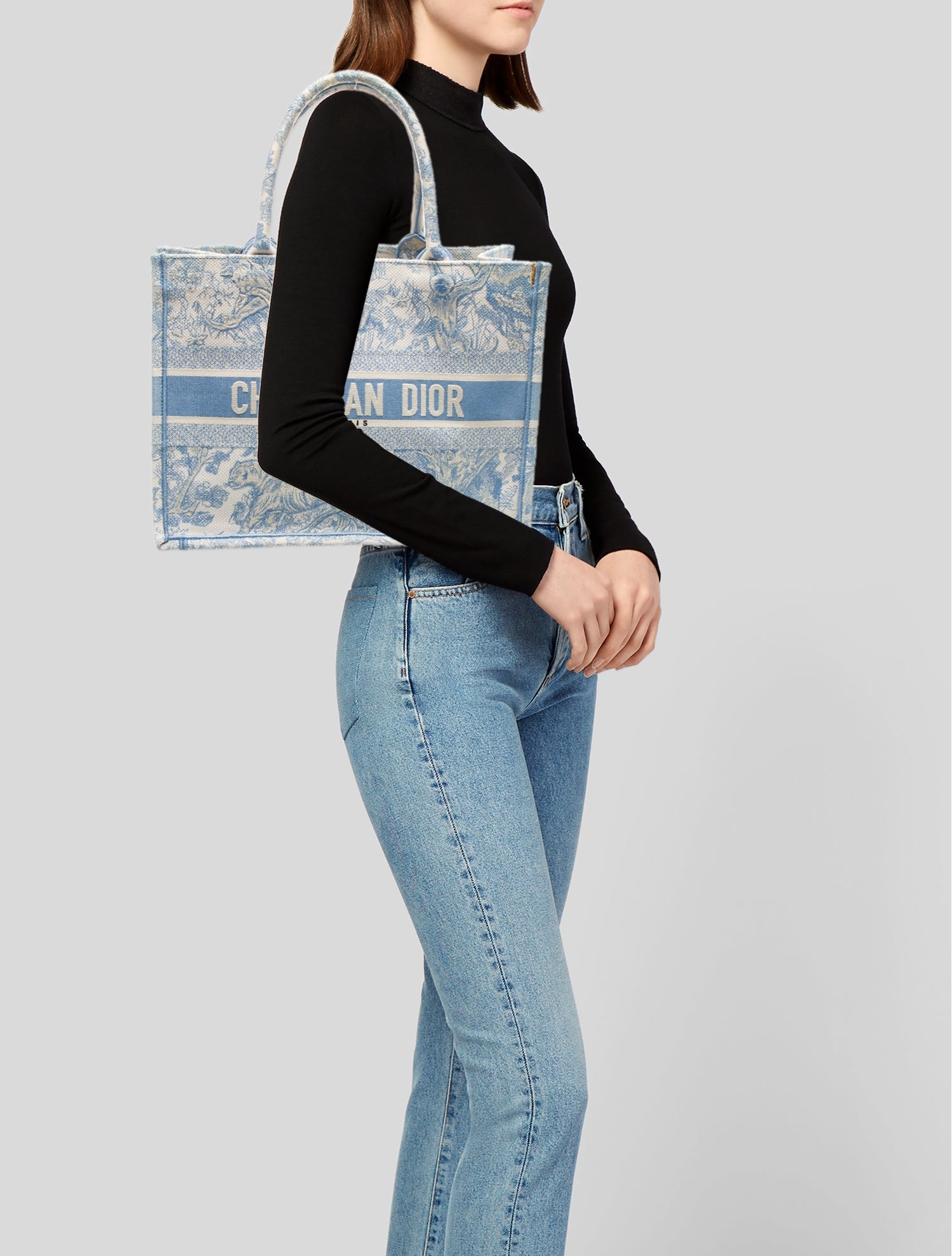 Christian Dior Toile de Jouy Book Medium