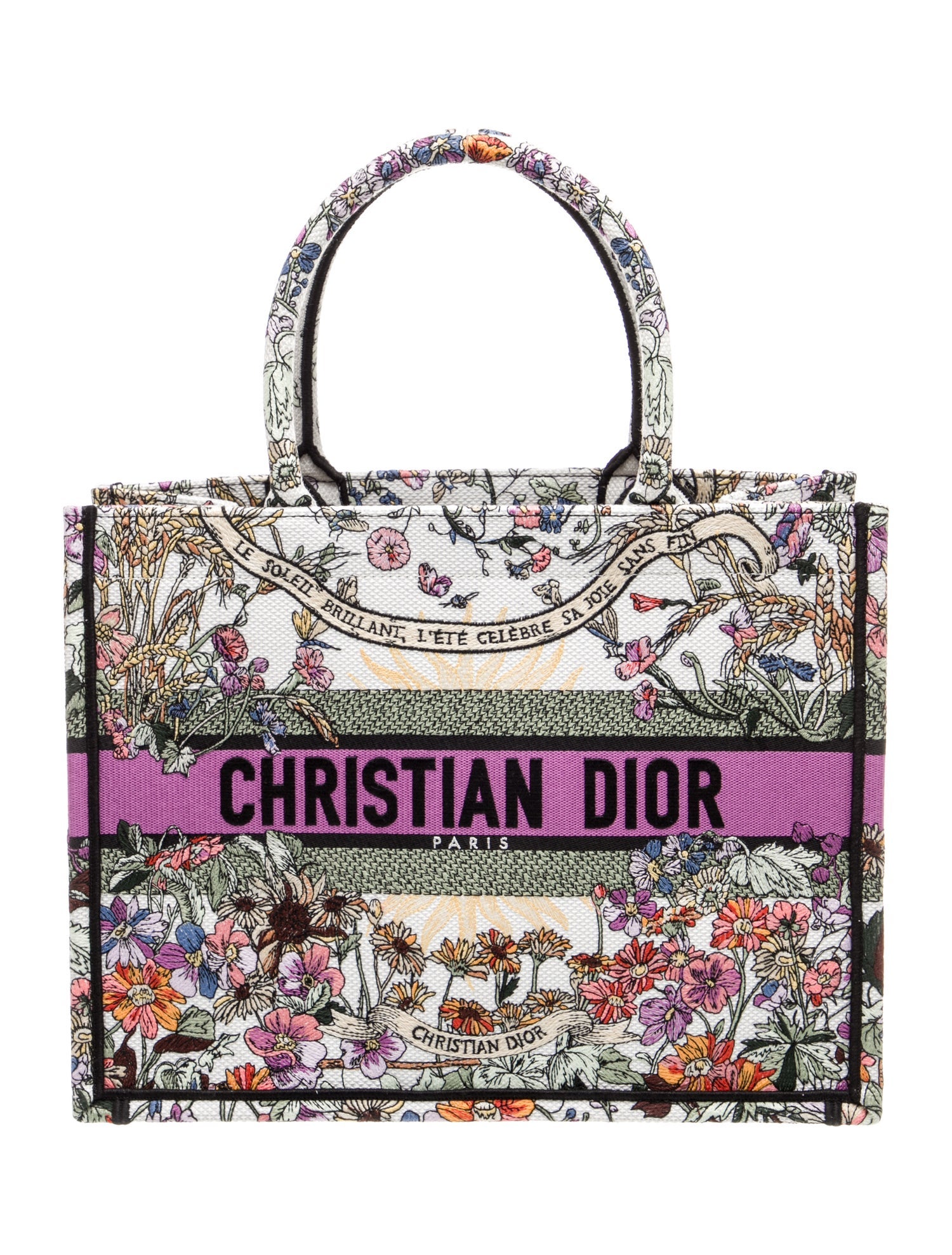 Christian Dior Canvas Book Medium 2025