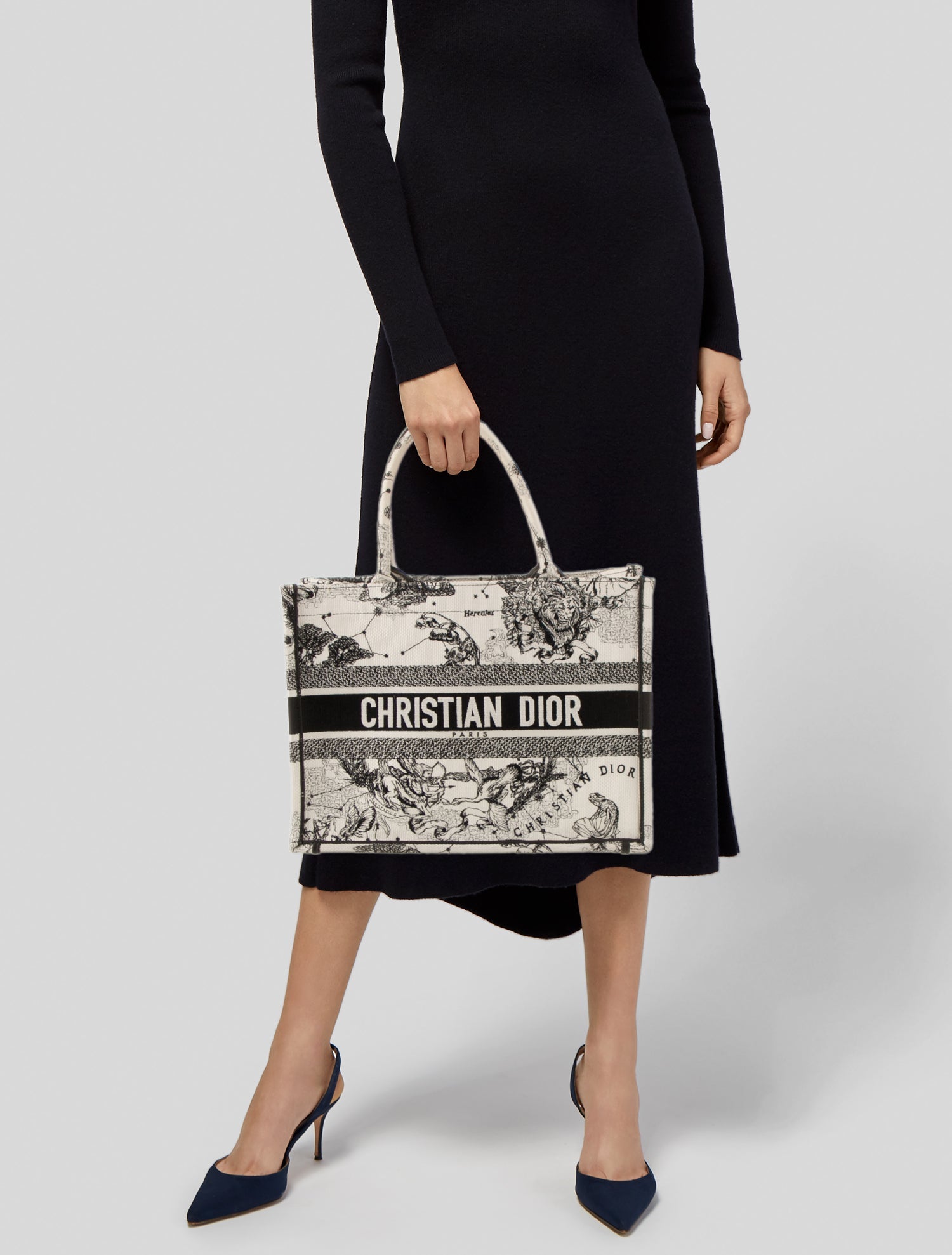 Christian Dior Canvas Book