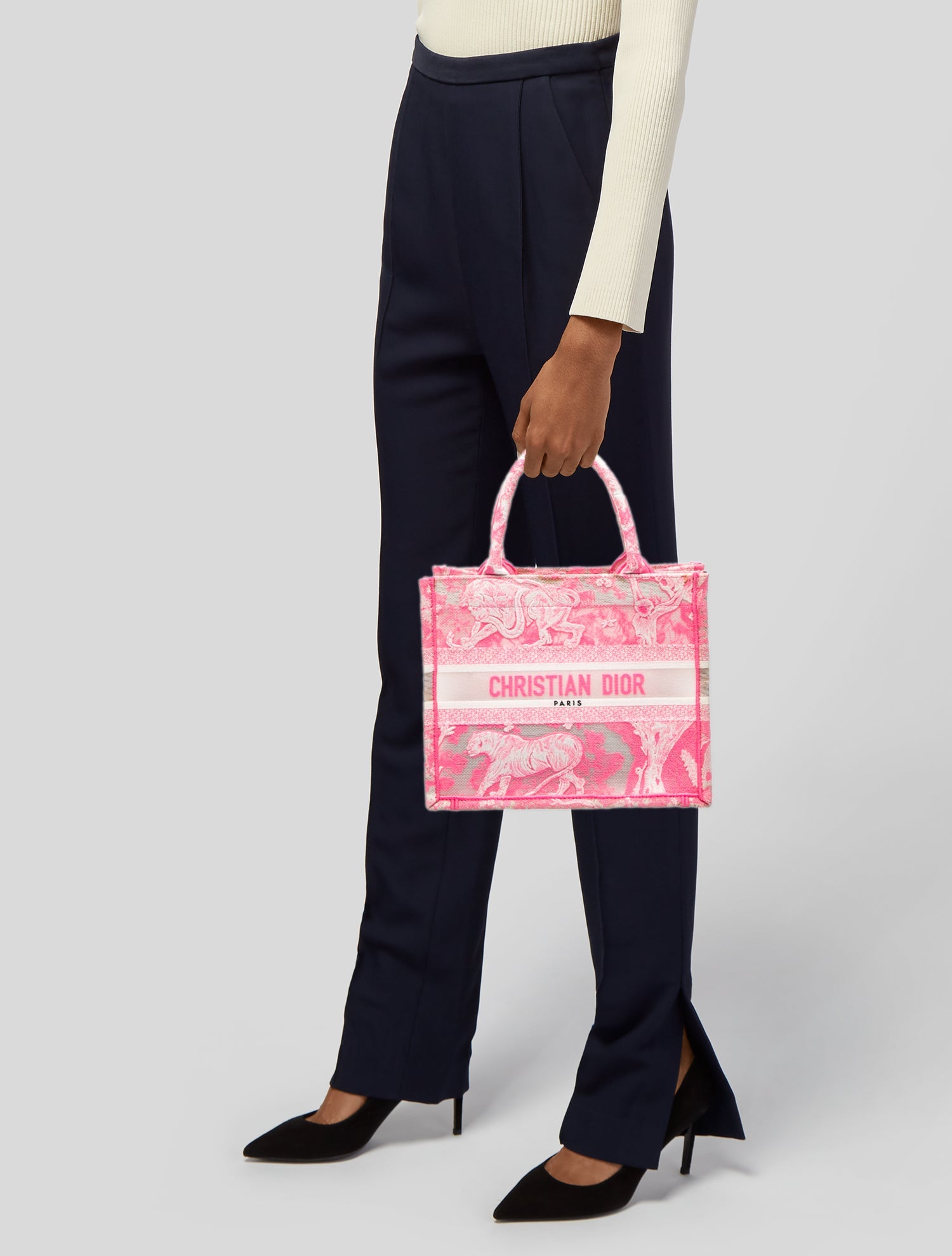 Christian Dior Canvas Book Small - Pink Handle Bags, Handbags