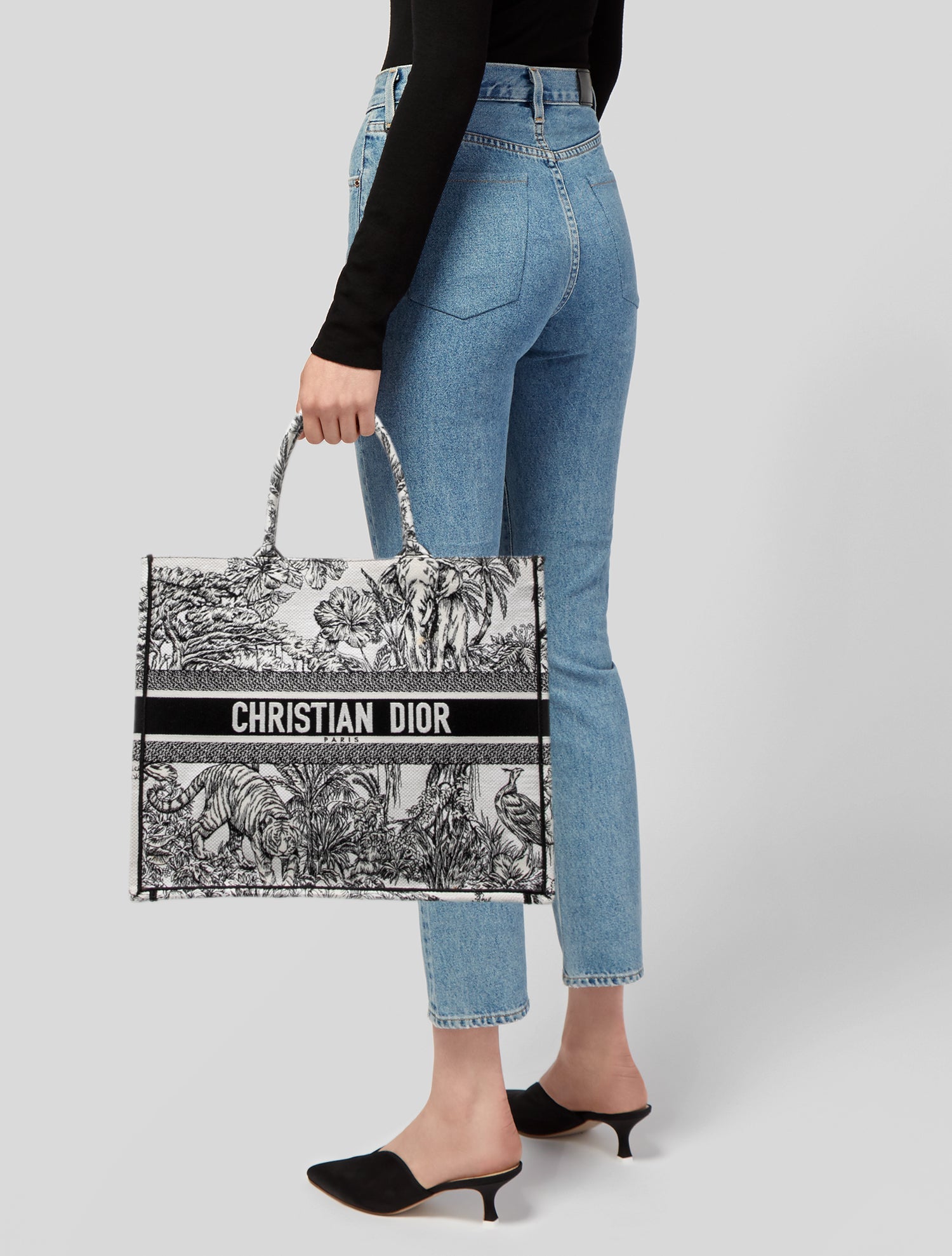 Christian Dior Toile de Jouy Book Large 2023