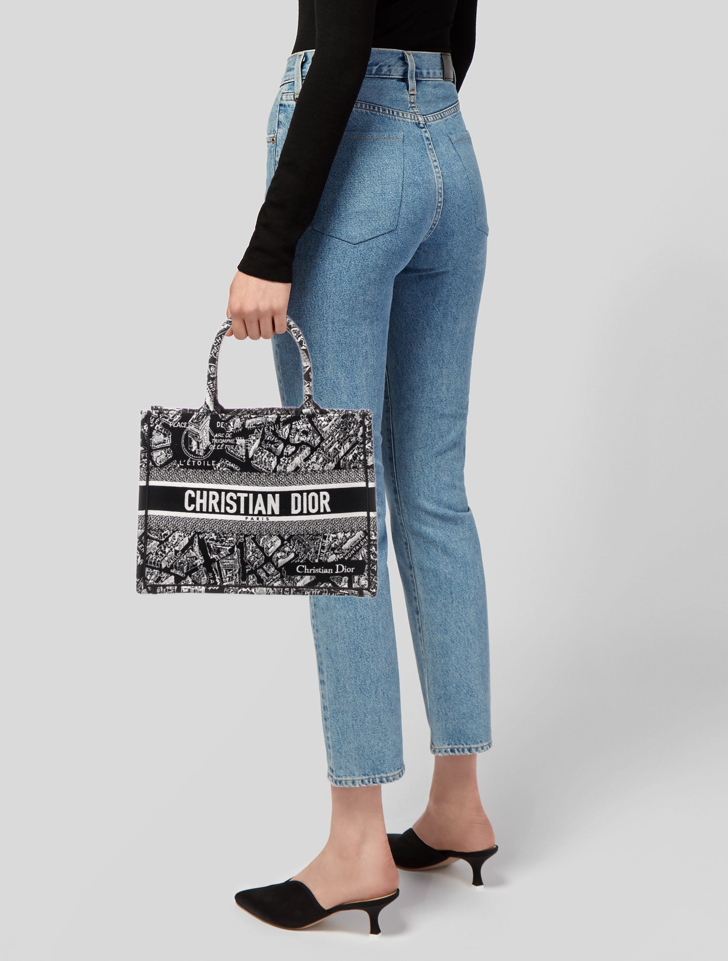 Christian Dior Canvas Book Medium