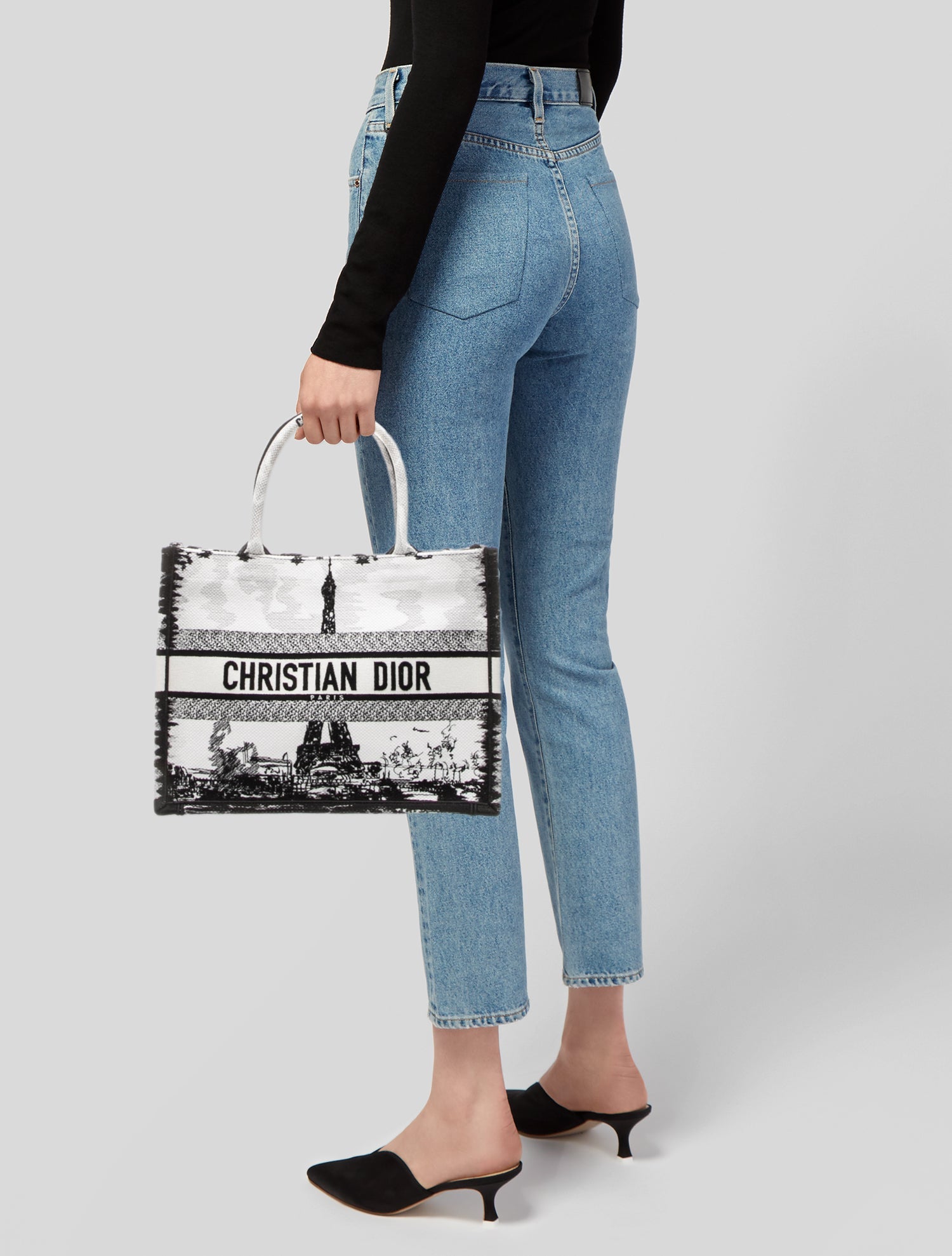 Christian Dior Canvas Book Medium 2024