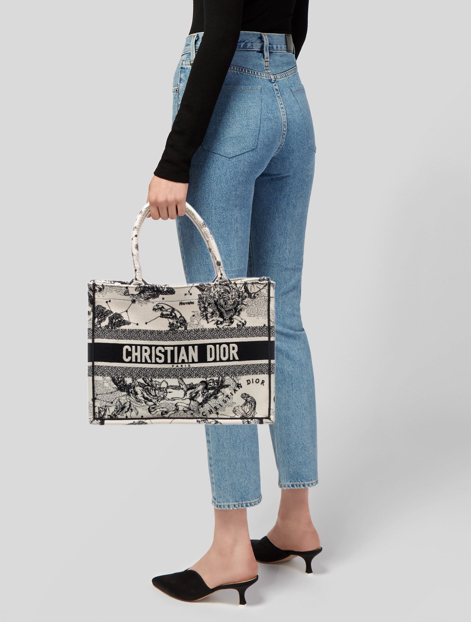 Christian Dior Toile de Jouy Zodiac Book Medium