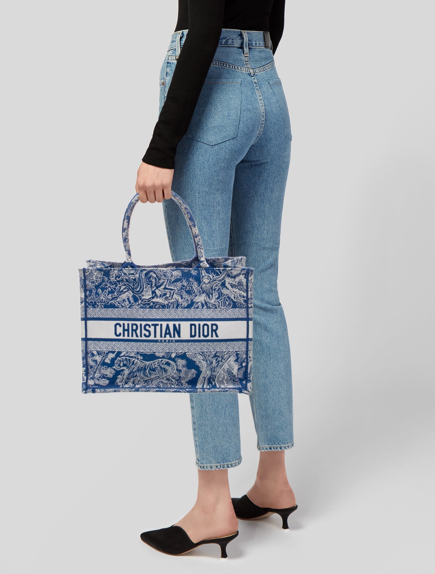 Christian Dior Toile de Jouy Book Medium