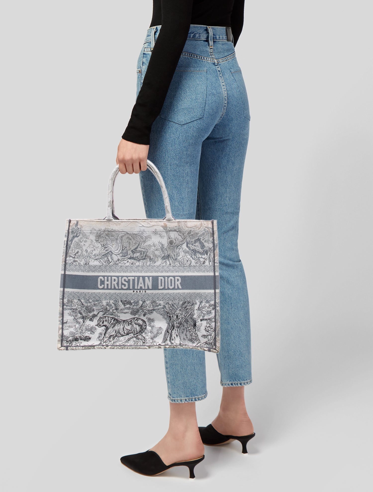 Christian Dior Canvas Book Large
