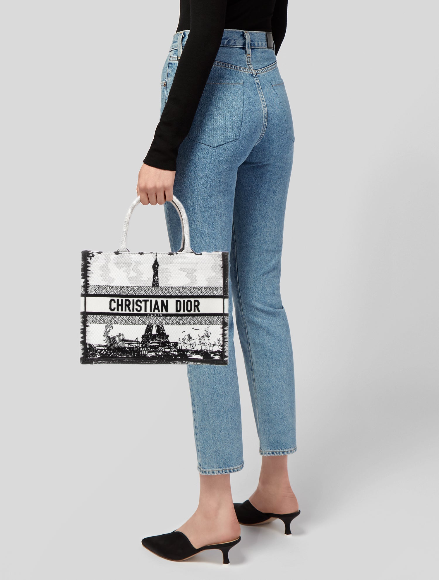 Christian Dior Canvas Book
