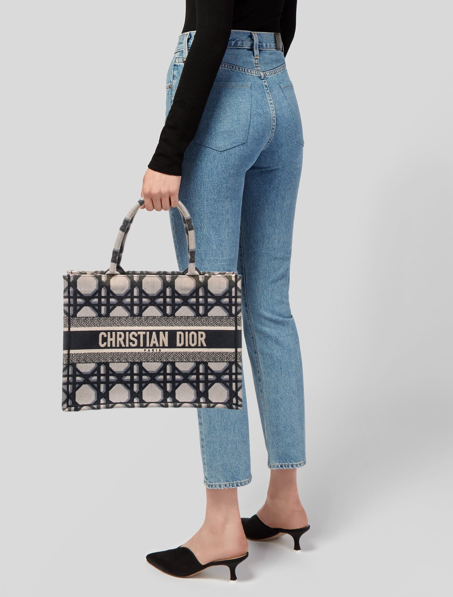 Christian Dior Cannage Book 2023