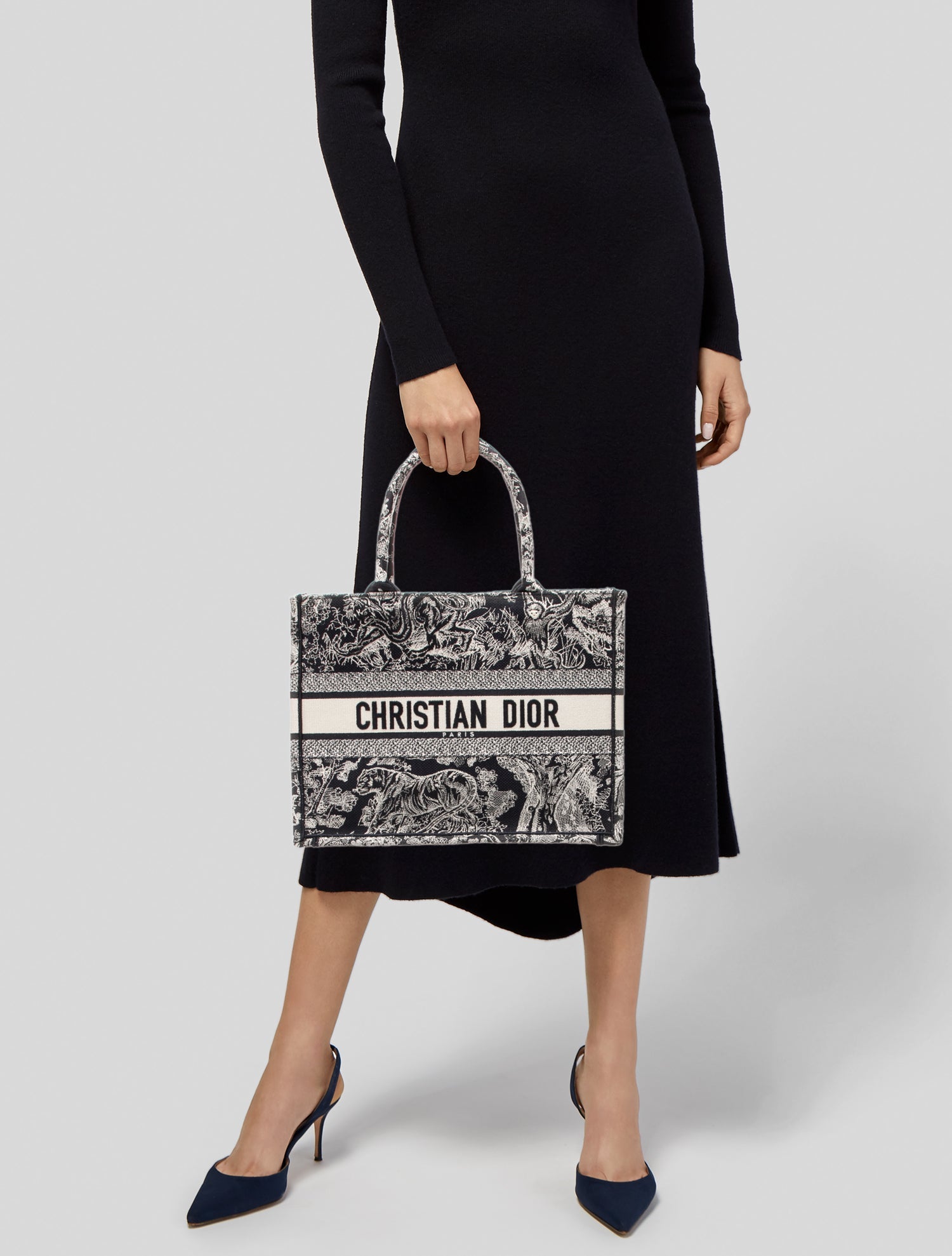 Christian Dior Toile de Jouy Book Medium 2023