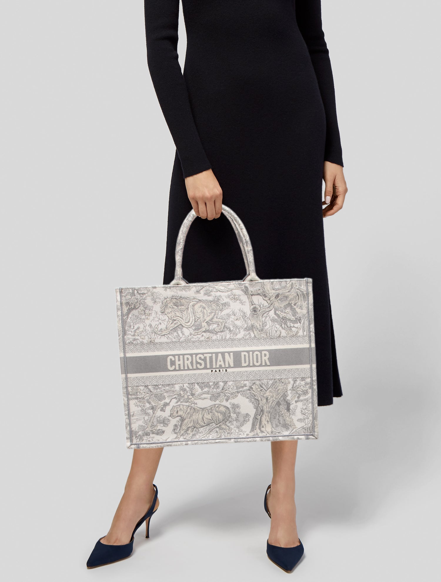 Christian Dior Canvas Book