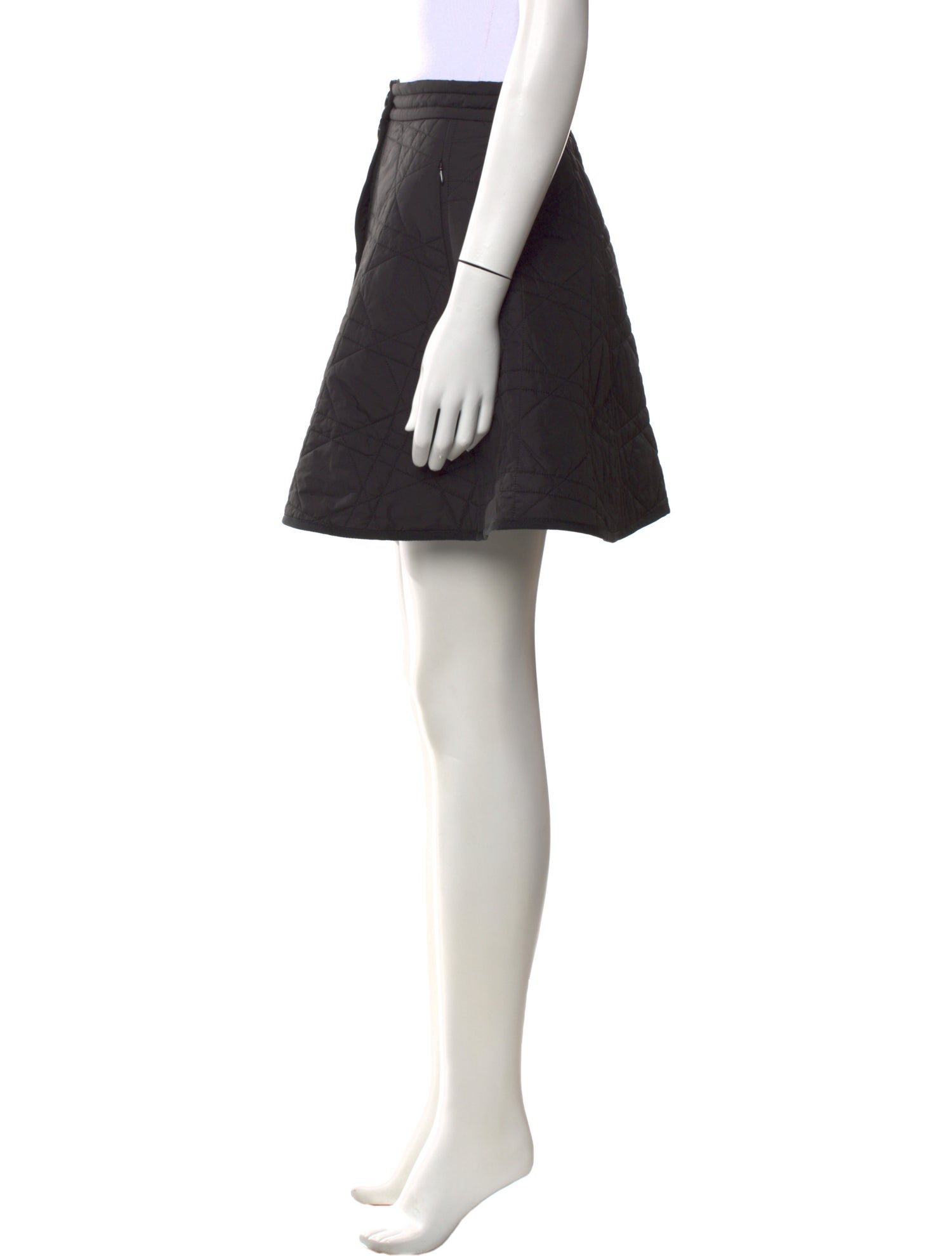 Christian Dior 2021 Mini Skirt