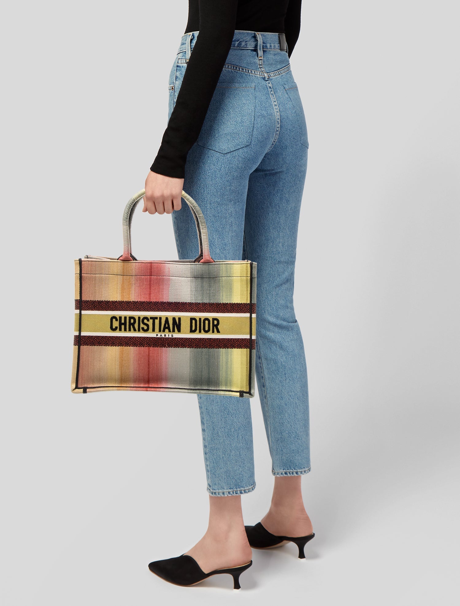 Christian Dior Canvas Book Medium