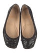 Christian Louboutin Leather Animal Print Ballet Flats