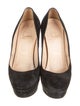 Christian Louboutin Suede Pumps