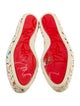 Christian Louboutin Printed Glitter Accents Espadrilles