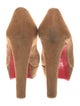 Christian Louboutin Suede Pumps