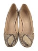 Christian Louboutin Snakeskin Animal Print Pumps