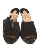 Christian Louboutin Suede Sequin Embellishments Slides