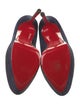 Christian Louboutin Suede Pumps