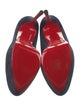 Christian Louboutin Suede Pumps