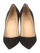Christian Louboutin Suede Pumps