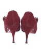 Christian Louboutin Suede Pumps