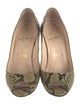 Christian Louboutin Snakeskin Animal Print Pumps