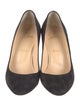 Christian Louboutin Suede Pumps
