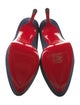 Christian Louboutin Suede Pumps
