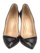 Christian Louboutin Leather Pumps