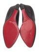 Christian Louboutin Suede Pumps