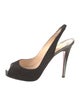 Christian Louboutin Suede Slingback Pumps