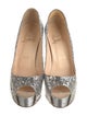 Christian Louboutin Glitter Pumps