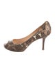 Christian Louboutin Python Animal Print Pumps