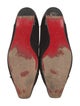 Christian Louboutin Suede Ballet Flats