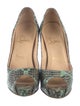 Christian Louboutin Python Animal Print Pumps