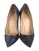 Christian Louboutin Snakeskin Animal Print Pumps