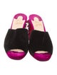 Christian Louboutin Velvet Crystal Embellishments Slides