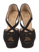 Christian Louboutin Suede Sandals