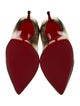 Christian Louboutin Leather Pumps