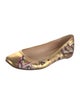 Christian Louboutin Leather Printed Ballet Flats