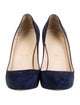 Christian Louboutin Suede Pumps