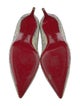 Christian Louboutin Crystal Crystal Embellishments Pumps