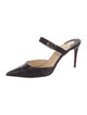 Christian Louboutin Crocodile Mules