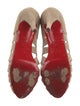 Christian Louboutin Suede Pumps