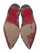 Christian Louboutin Mesh Crystal Embellishments Ballet Flats