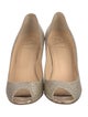 Christian Louboutin Glitter Glitter Accents Pumps